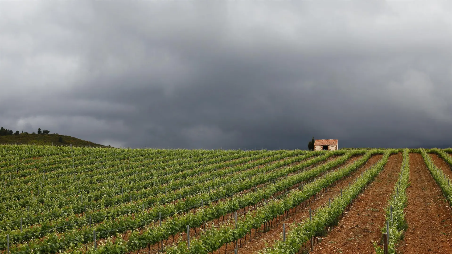 L'Atelier de Canterrane_17