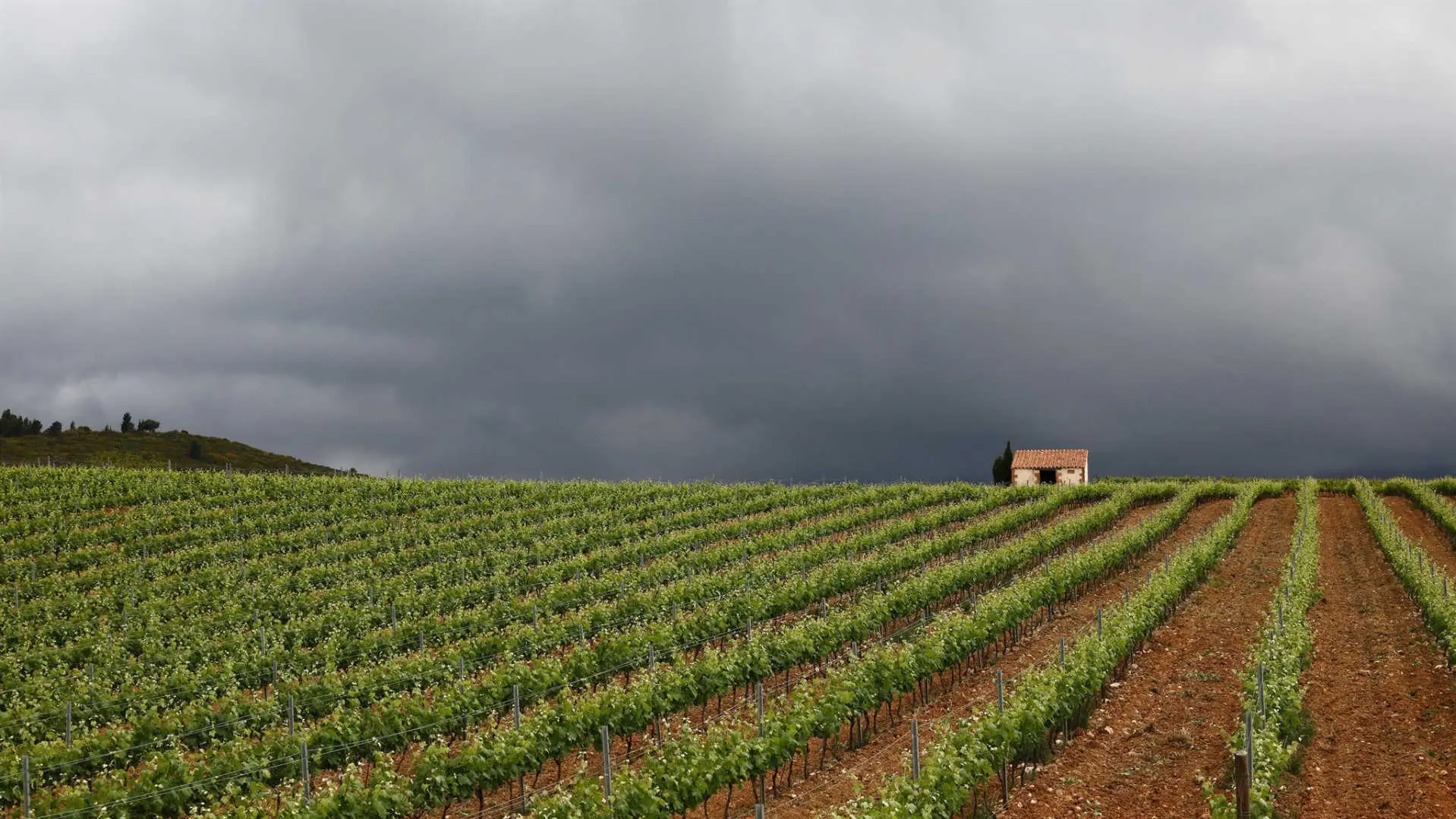 L'Atelier de Canterrane_17