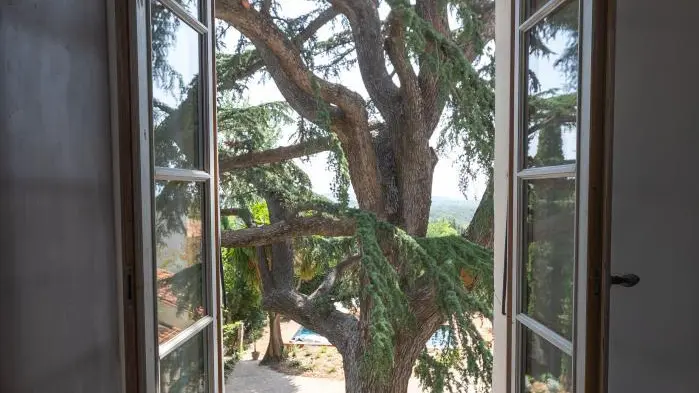 La Bastide du Cèdre_34