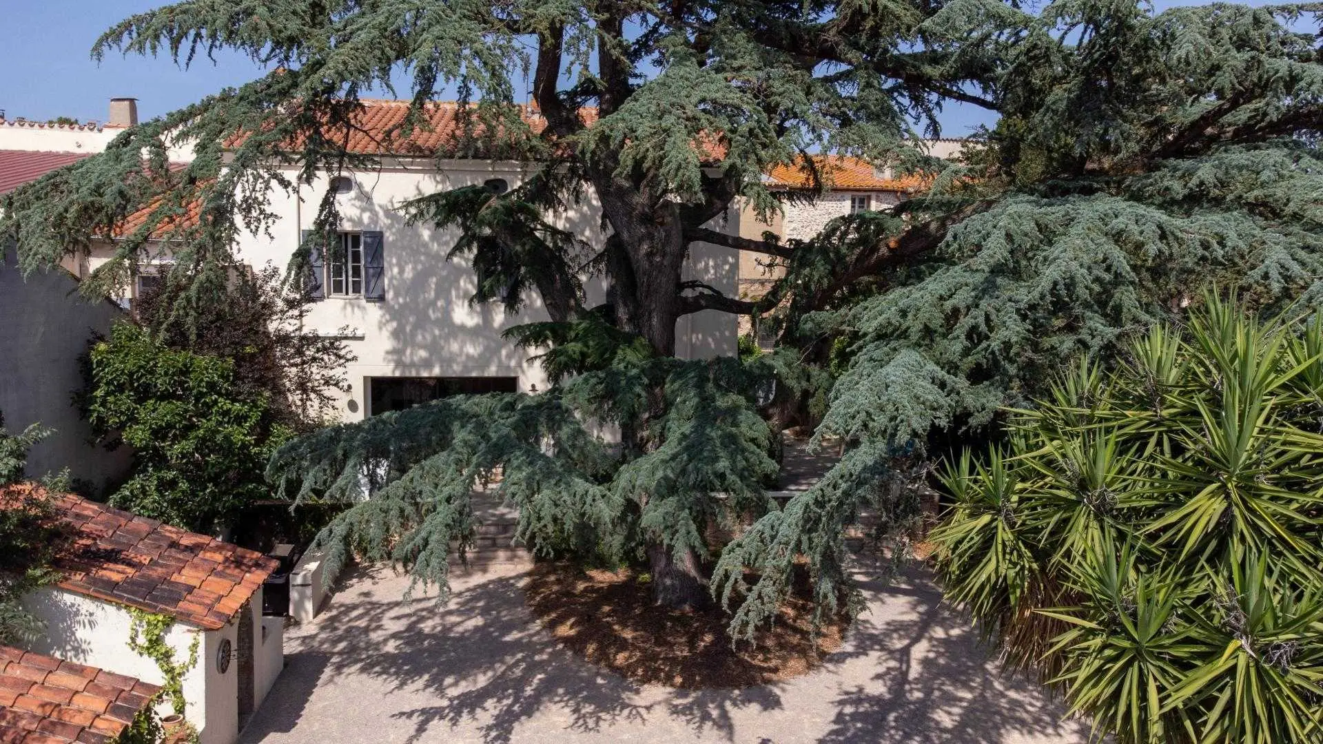 La Bastide du Cèdre_5