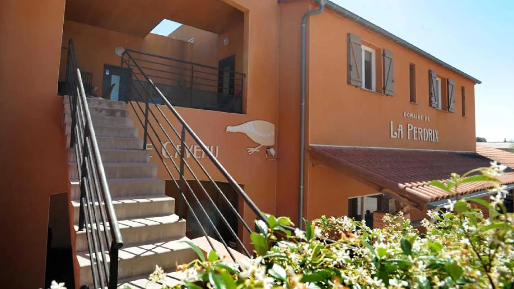 La Perdrix_3