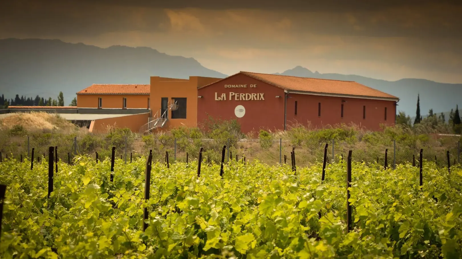 La Perdrix_2