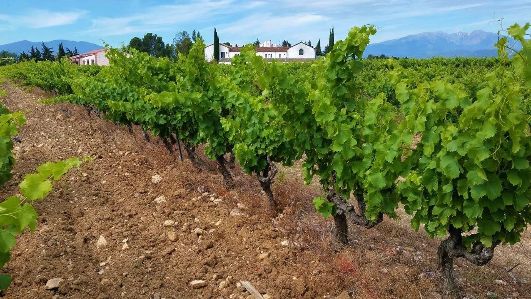 Gîte Clos Saint Georges_7