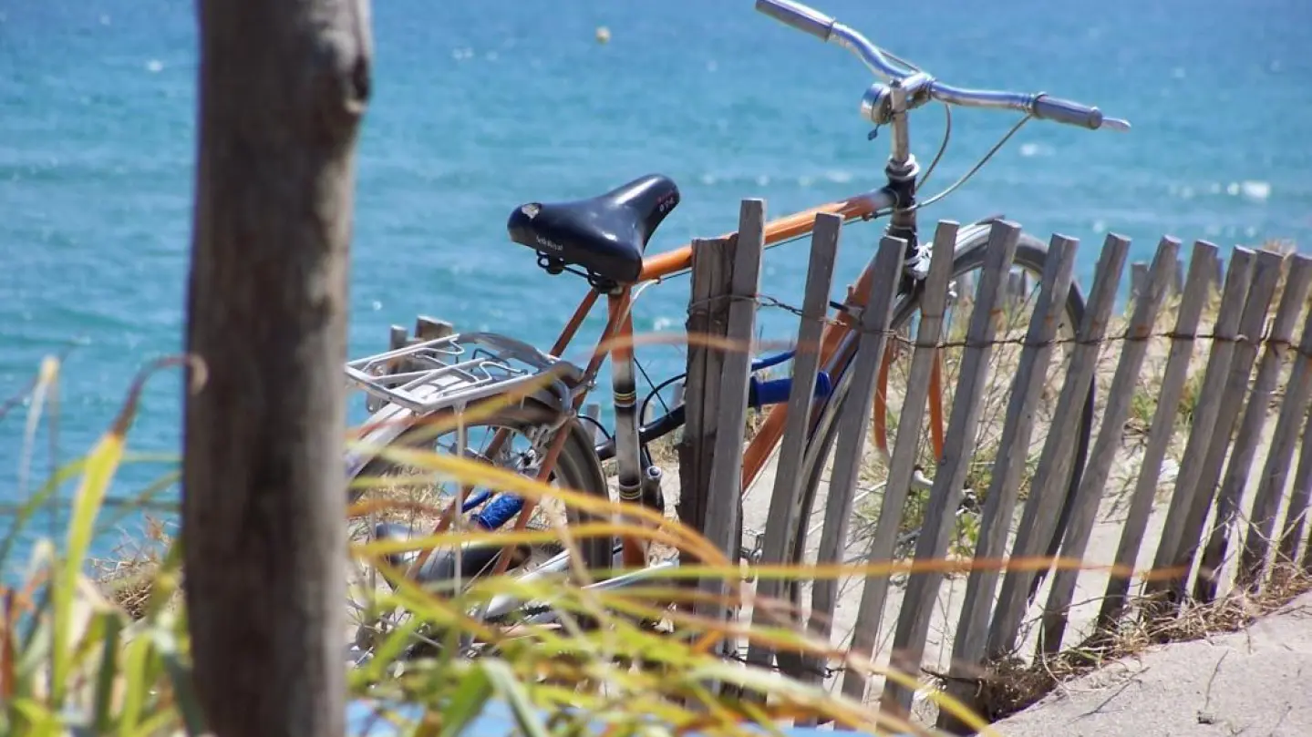 La cave de louise_15