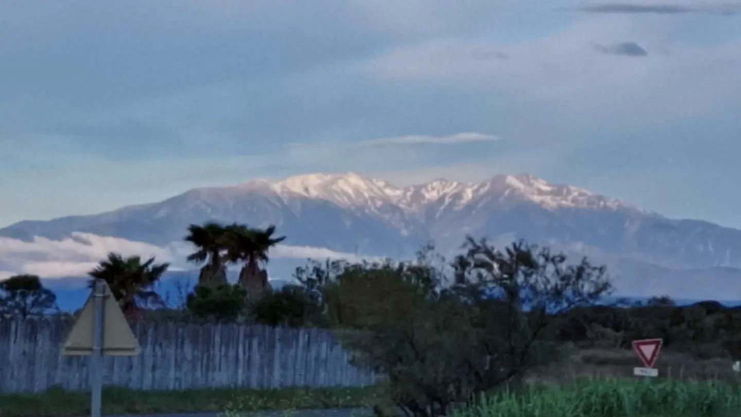 Les flamants roses_26