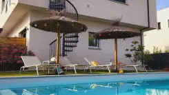 Les flamants roses_1