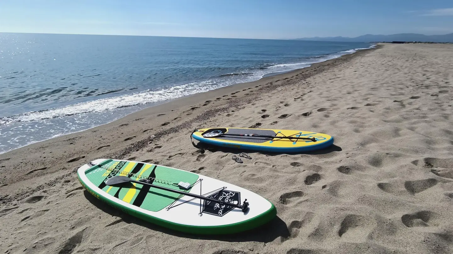 Les flamants roses_31