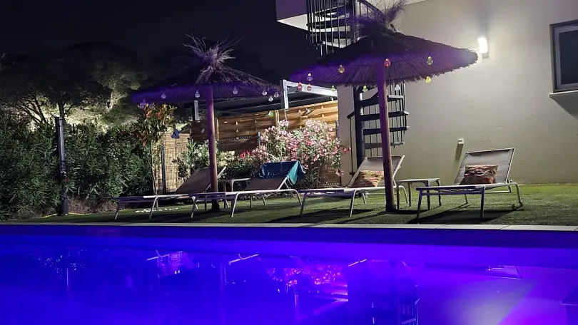 Les flamants roses_6