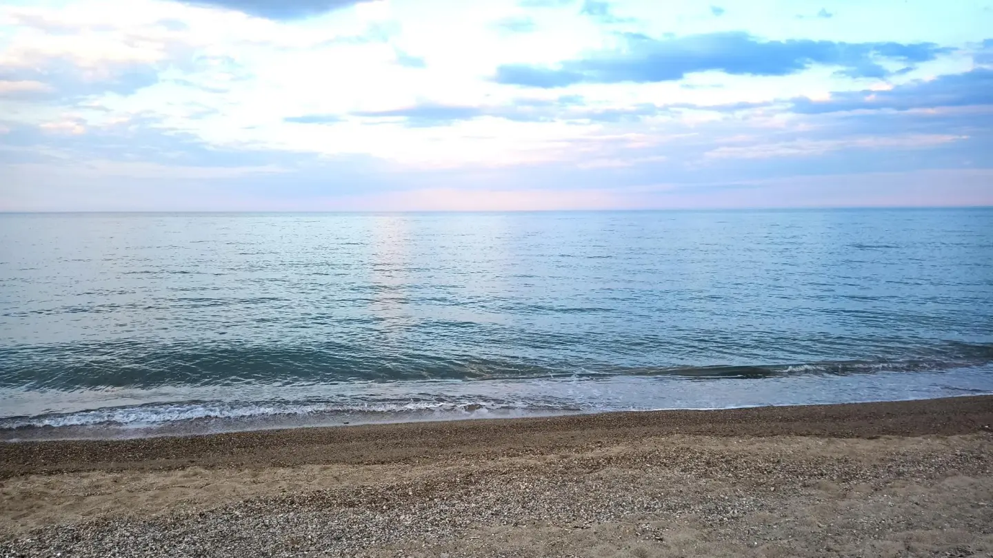 Les flamants roses_30