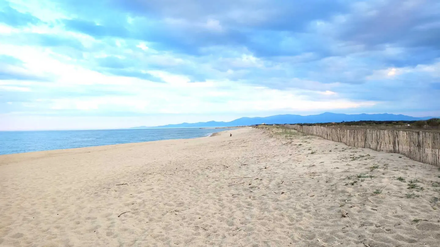 Les flamants roses_28