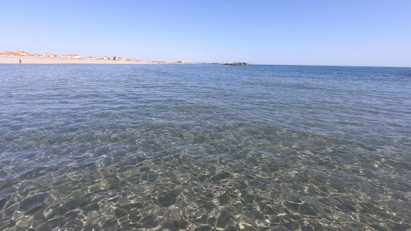 Les flamants roses_35