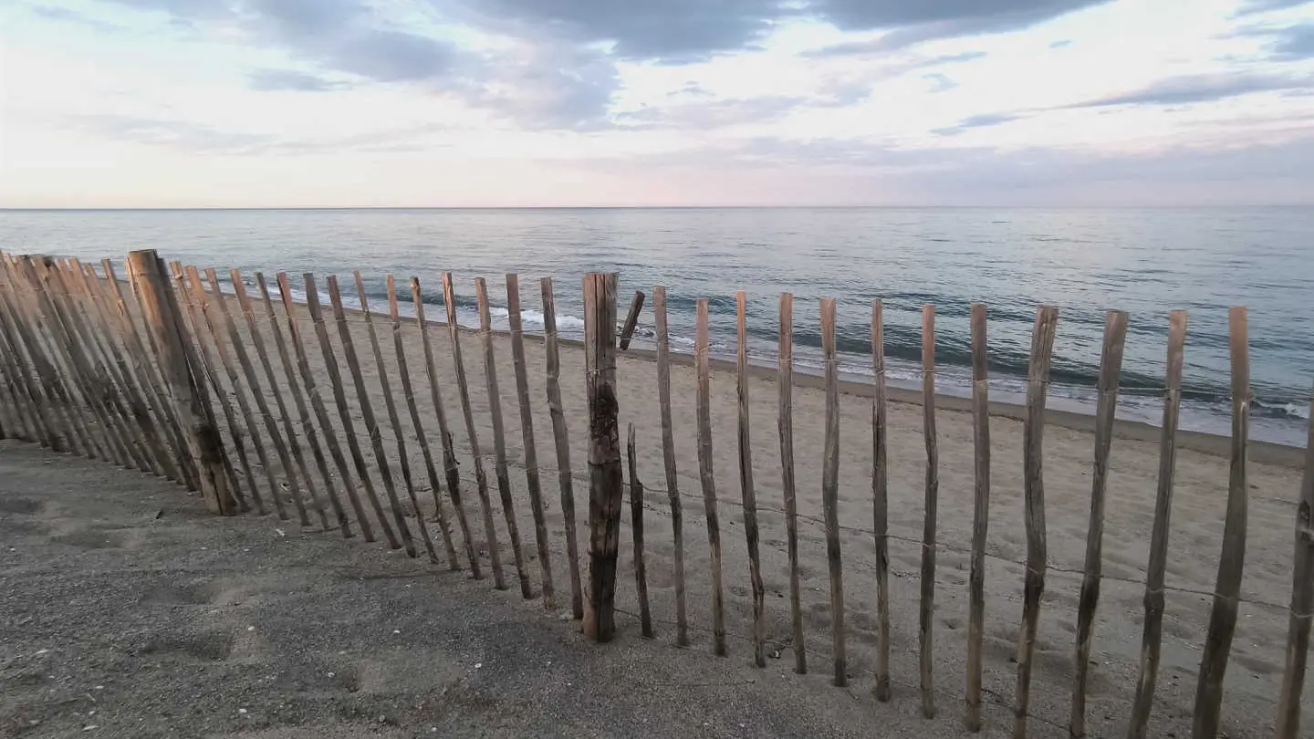 Les flamants roses_32