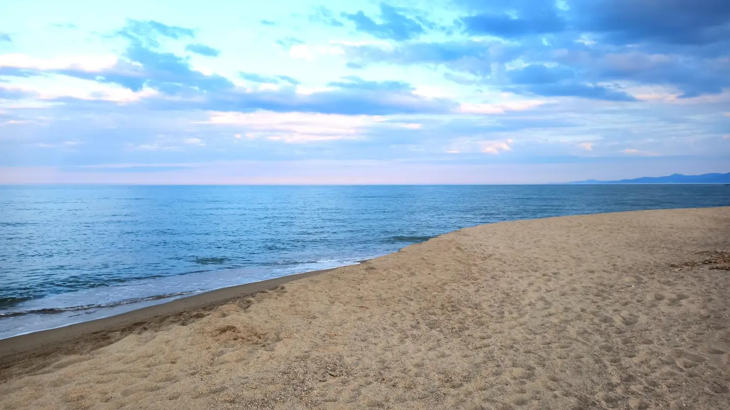 Les flamants roses_29