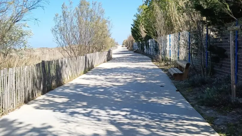 Les flamants roses_24