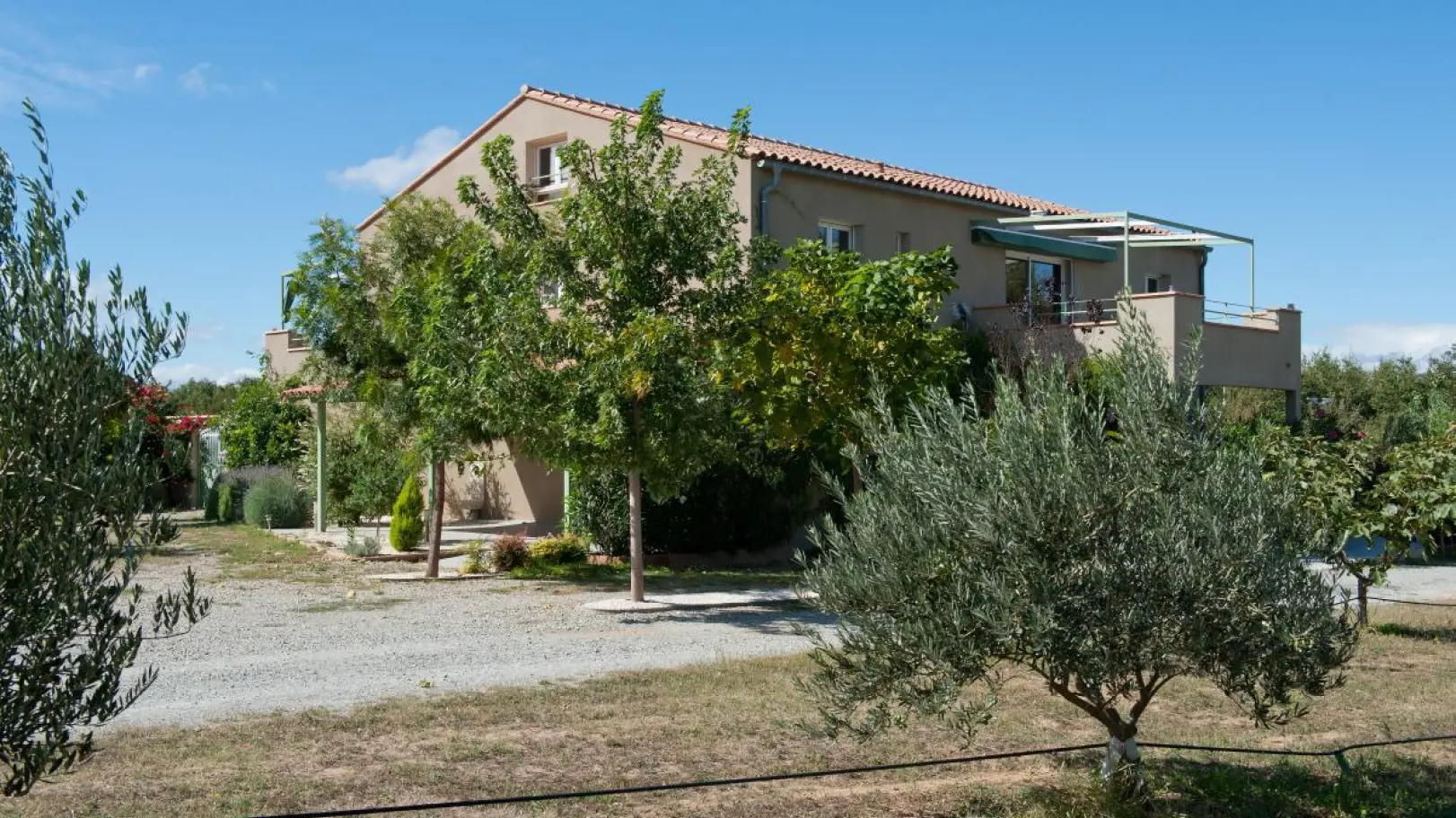 Le Domaine des Luque - Vue piscine_4