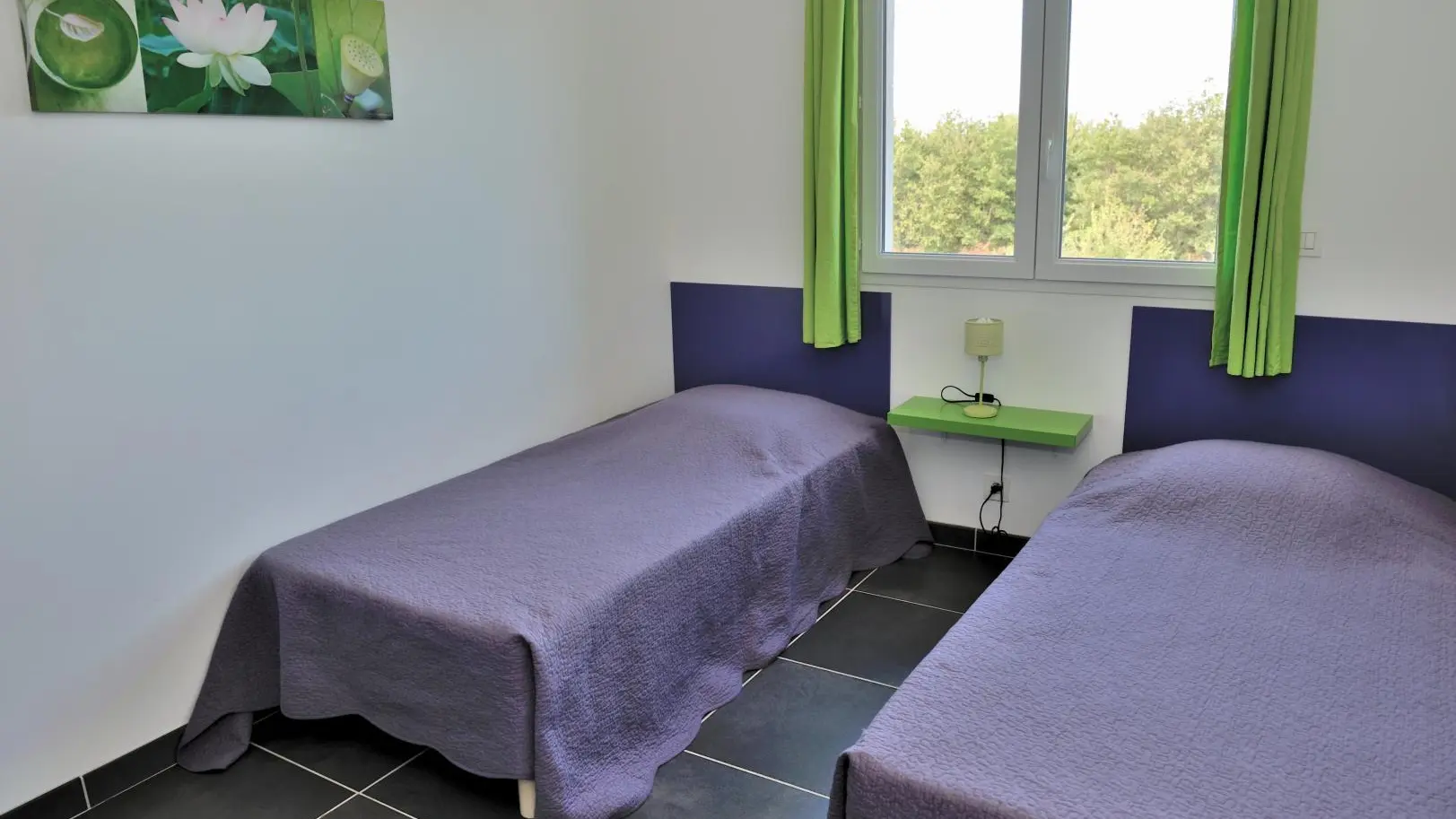 Le Domaine des Luque- Vue montagne_8