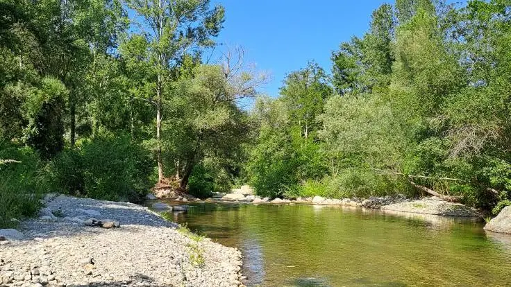 Les chambres d'hôtes du Moli d'En Camps_7