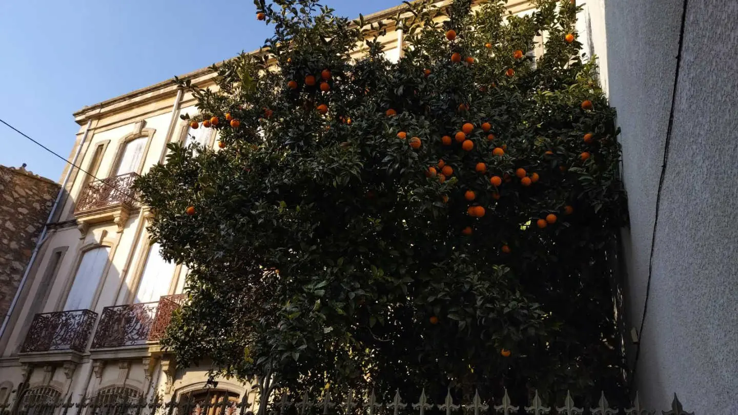 La Maison Bachelet_30