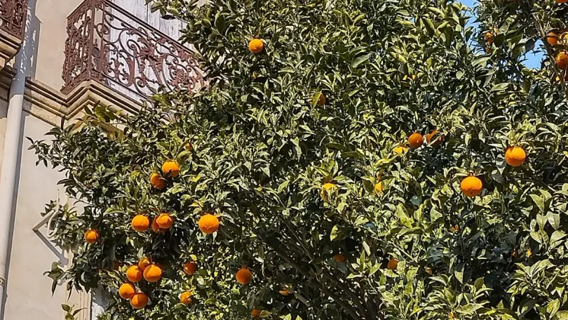 La Maison Bachelet_31