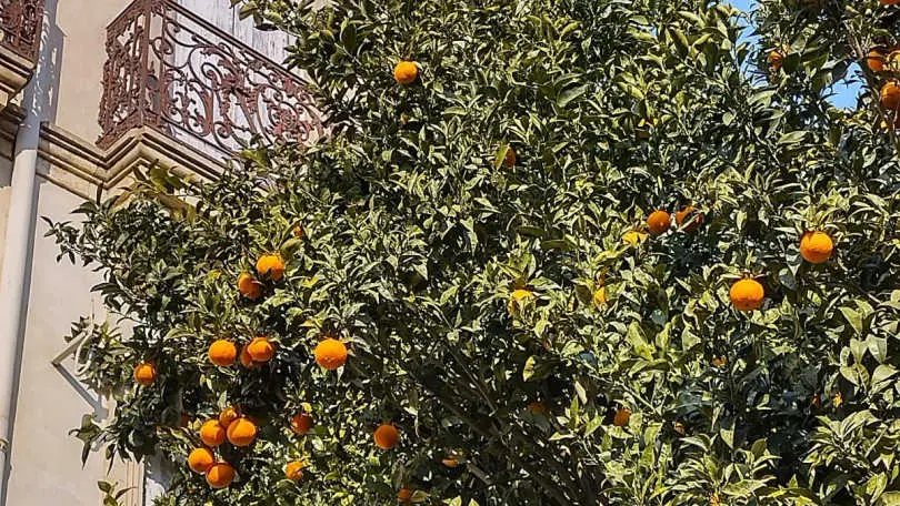 La Maison Bachelet_31