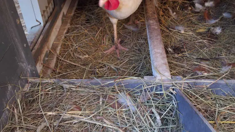 La Maison Bachelet_34