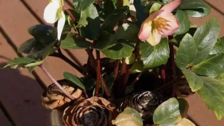 Les chambres du mas rondole_20