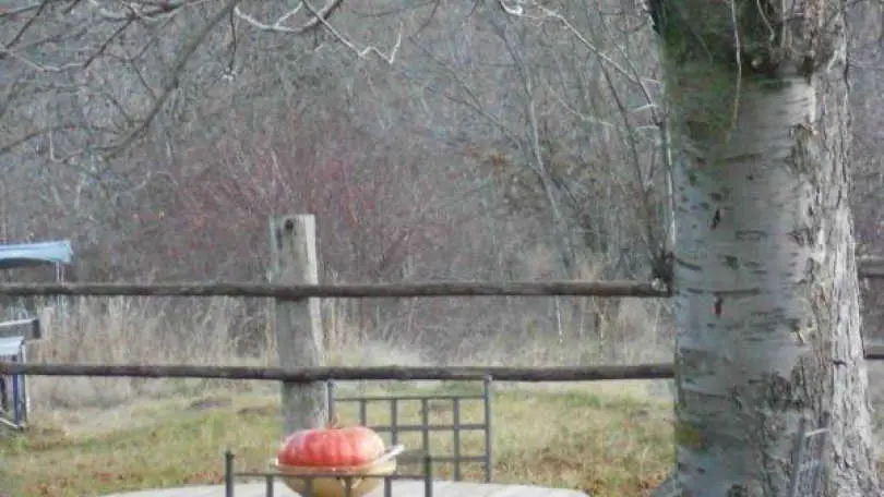 Les chambres du mas rondole_12