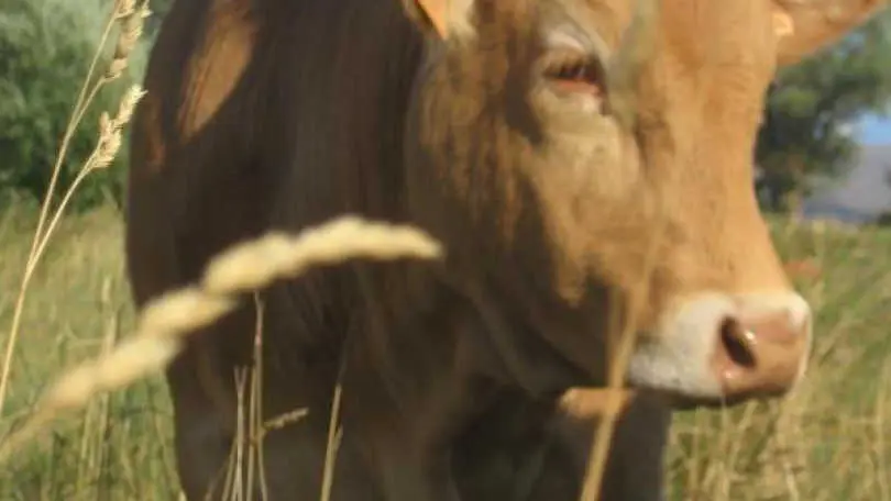 Les chambres du mas rondole_10