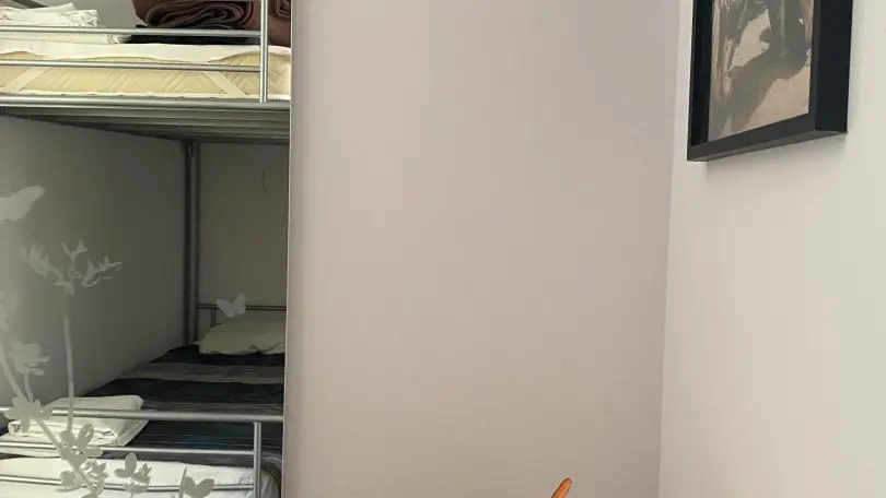 Maison d'Hôtes L'olivette des Albères_15