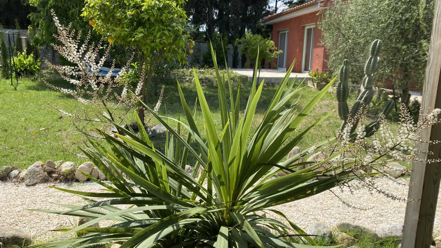 Maison d'Hôtes L'olivette des Albères_30