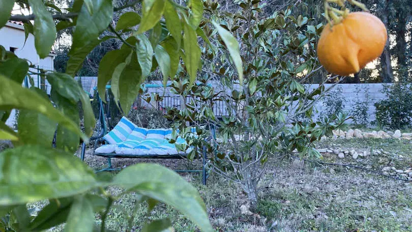 Maison d'Hôtes L'olivette des Albères_33