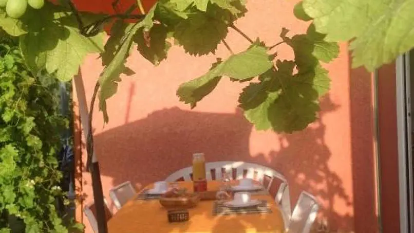 Maison d'Hôtes L'olivette des Albères_29