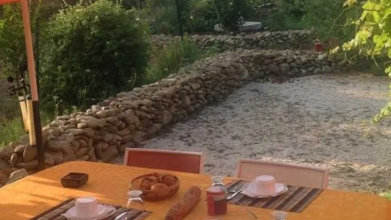 Maison d'Hôtes L'olivette des Albères_27