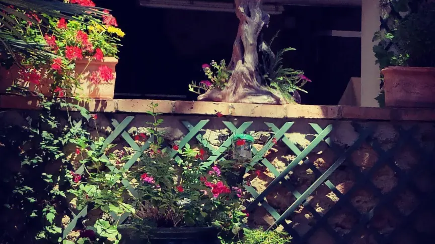 Mas Peu del Causse_17