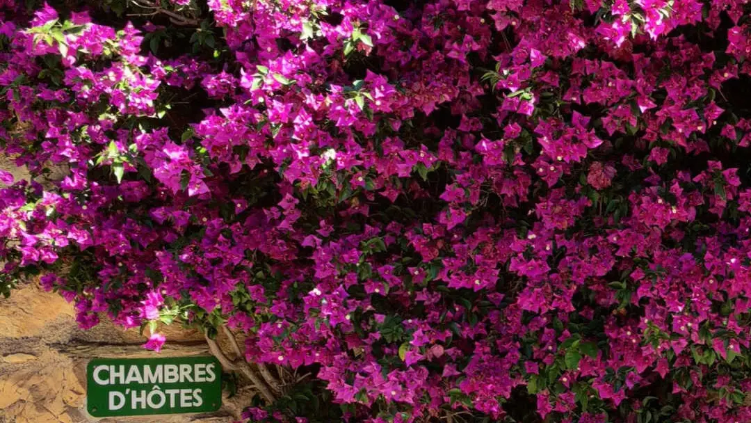 Mas Peu del Causse_7