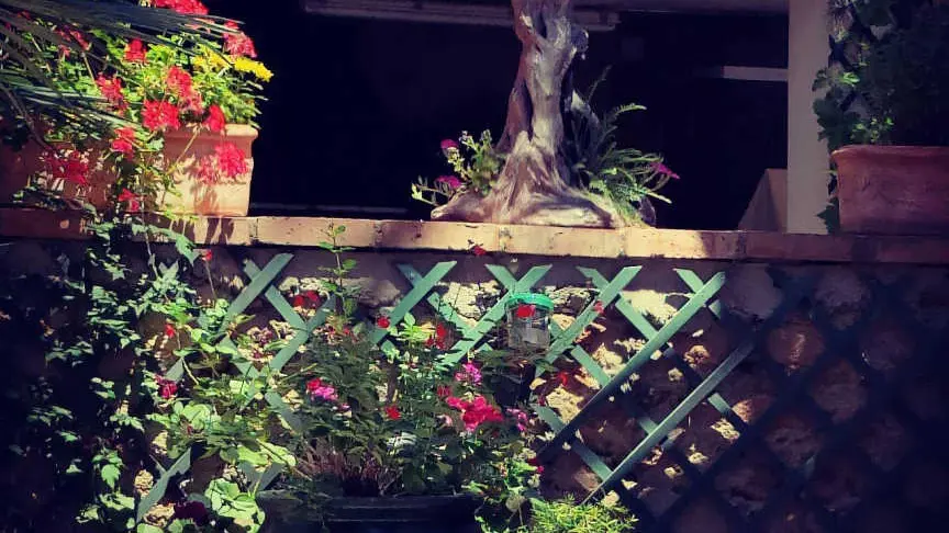 Mas Peu del Causse_17