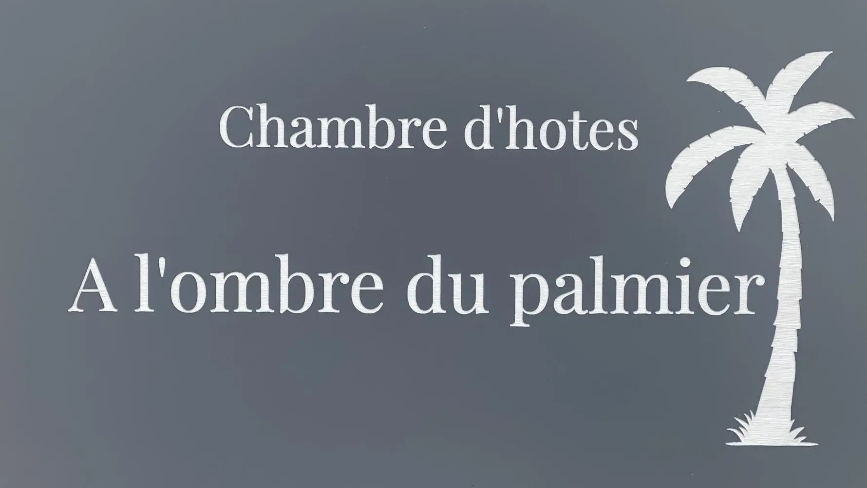 A l'ombre du palmier_24