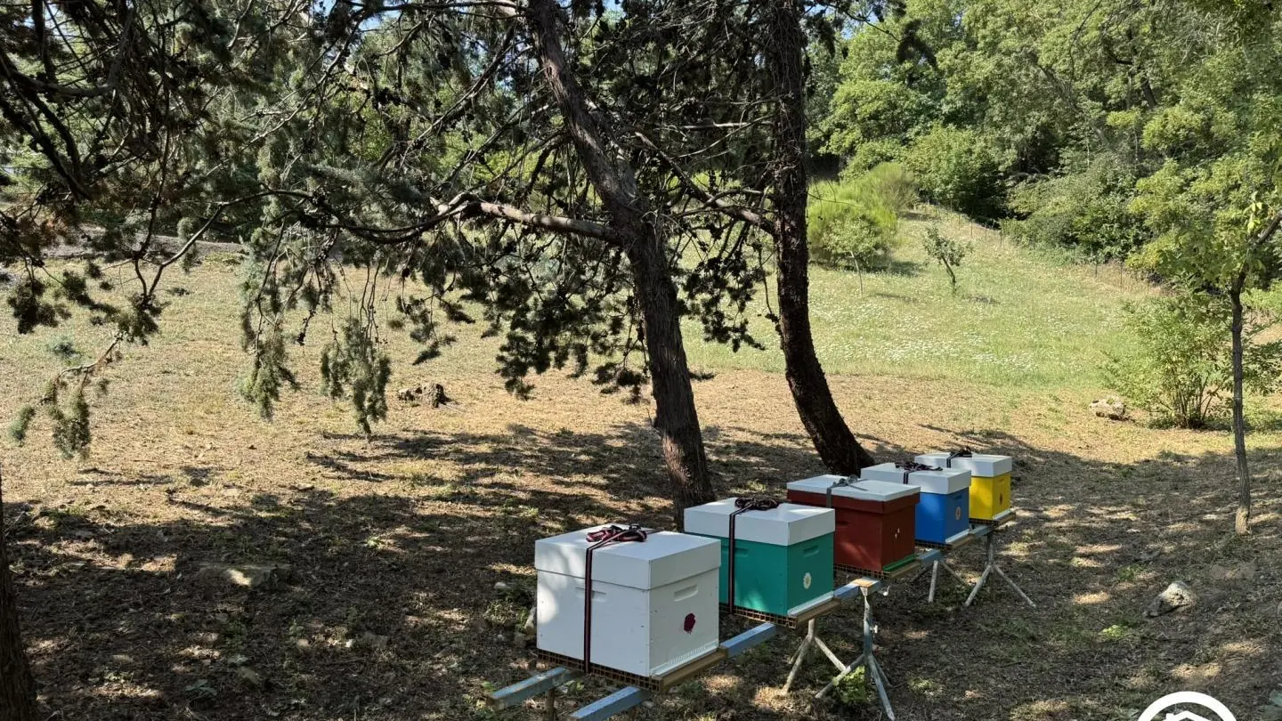 Les chambres d'hôtes du Mas Parry_32