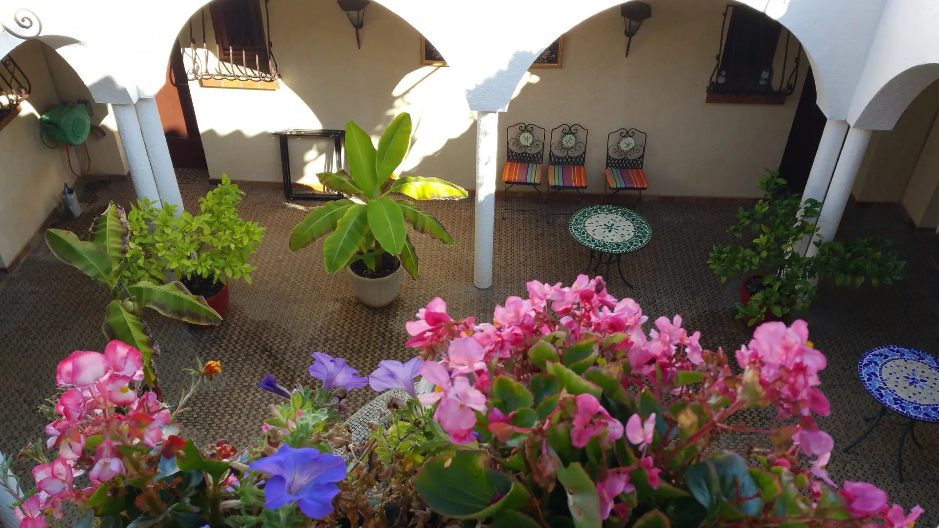 Chambres d'hôtes Al pati_19