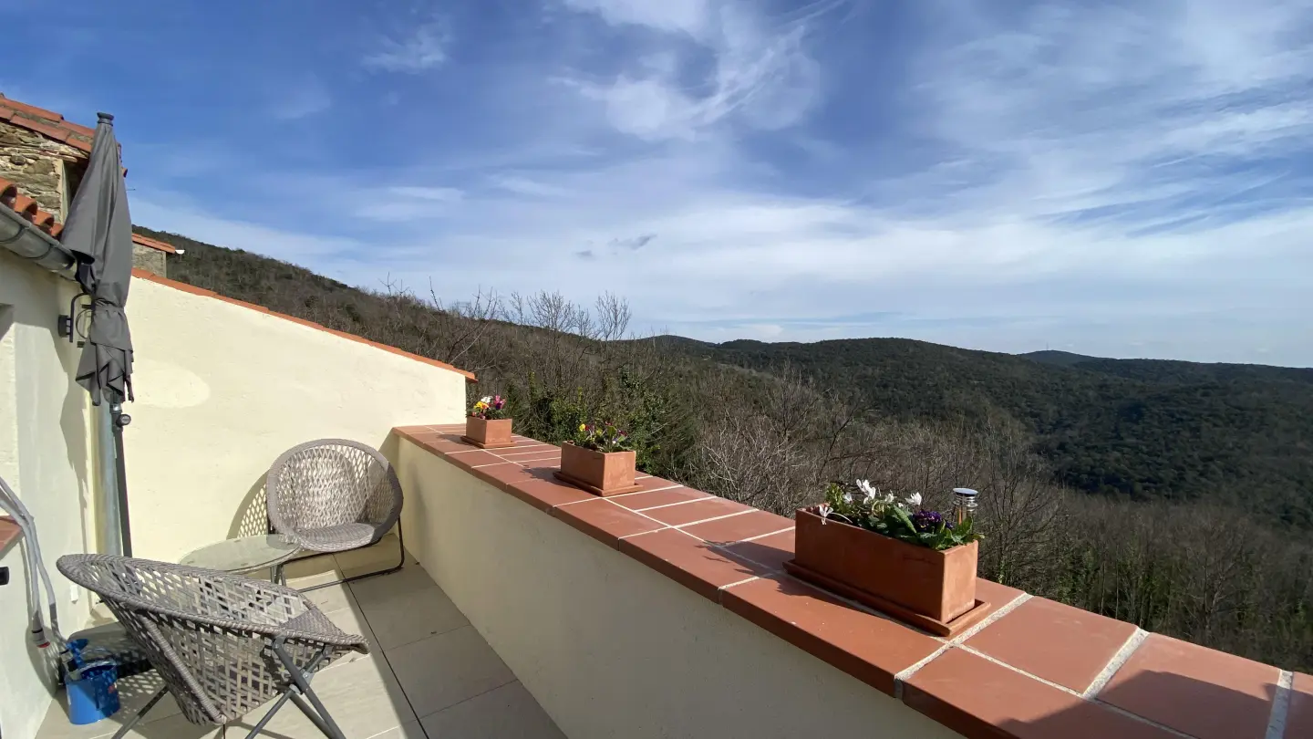 La terrasse des oiseaux_12