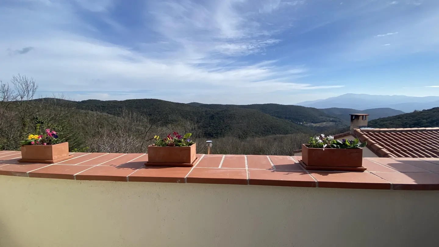 La terrasse des oiseaux_23