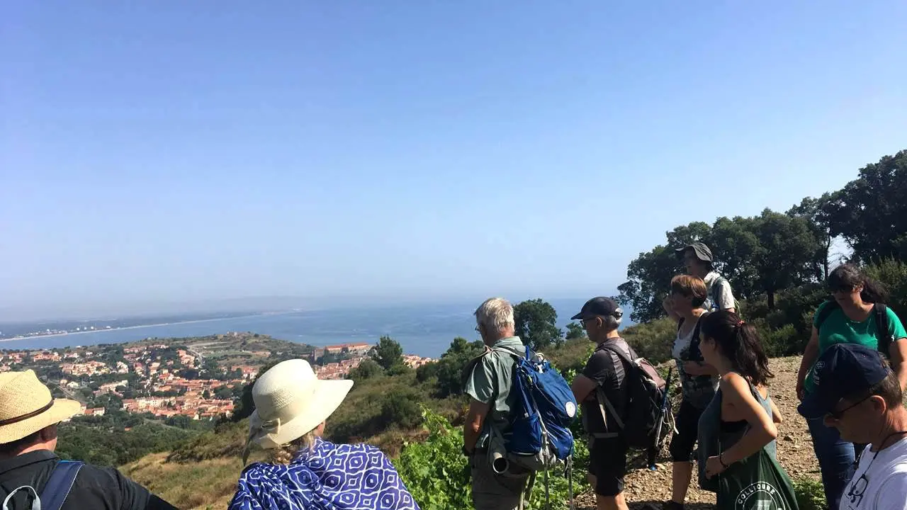 7-prestataires-activites-oenotourisme