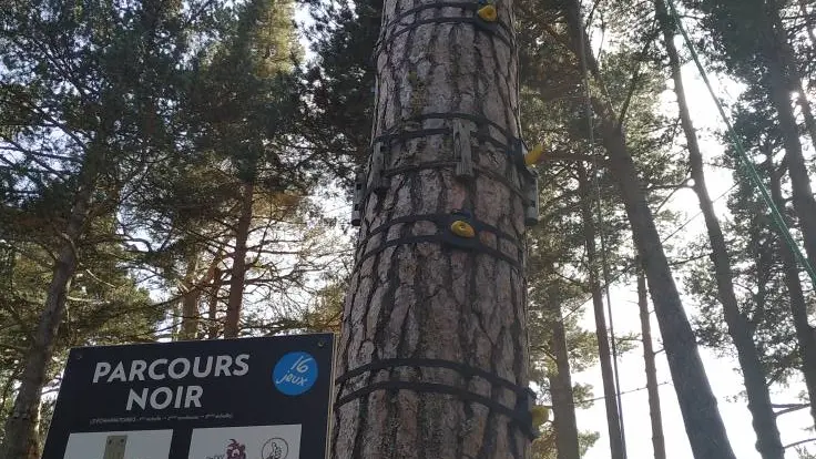 74418338_2702039686515221_5238485956398415872_o