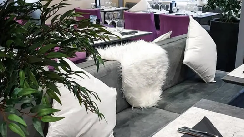 ©CAFE DE LA PAIX 4 FACEBOOK