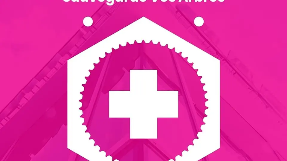 88363643_2984258941626626_8684093937419288576_n