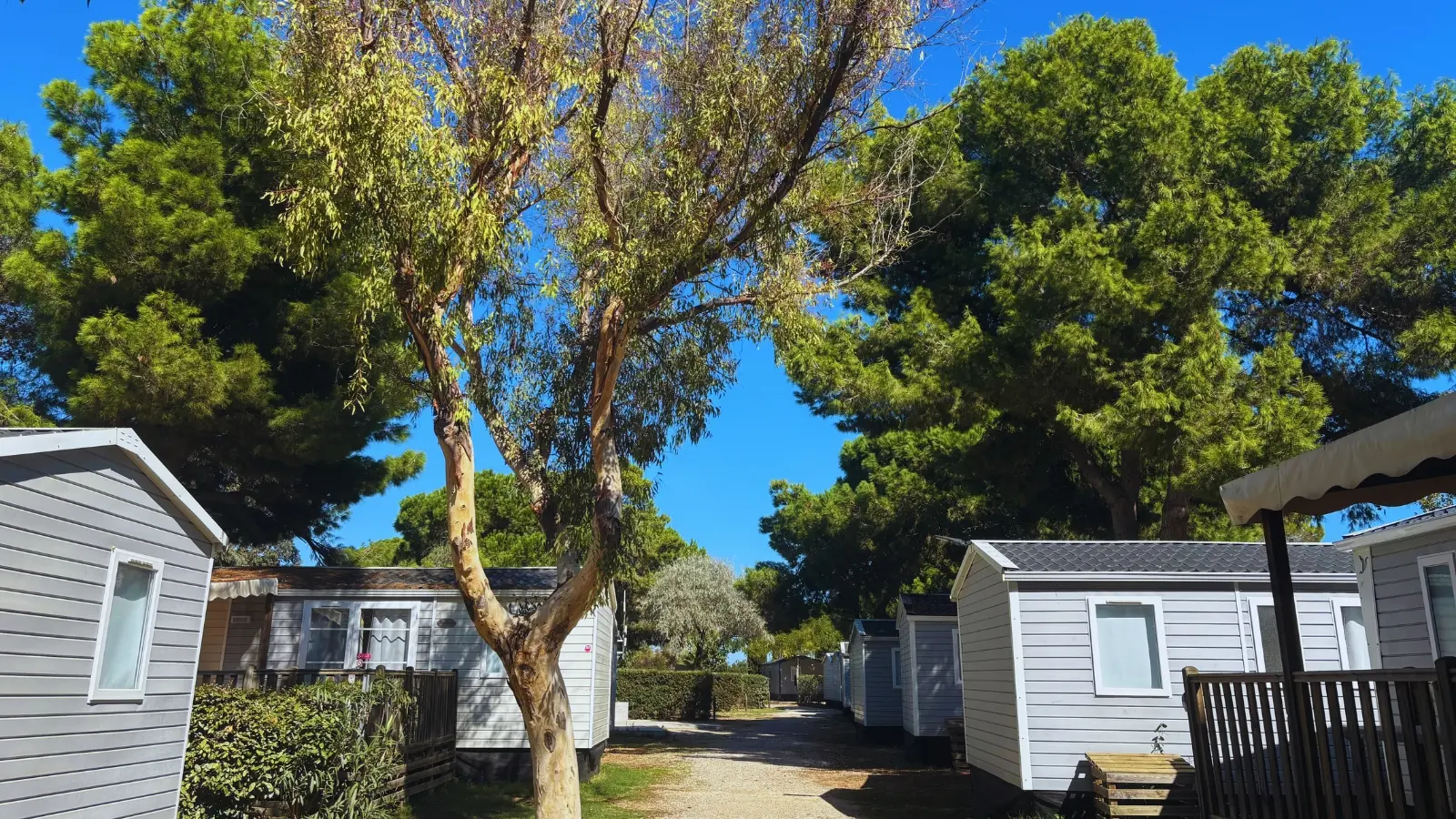 Sans titre (1600 x 1080 px) - 6