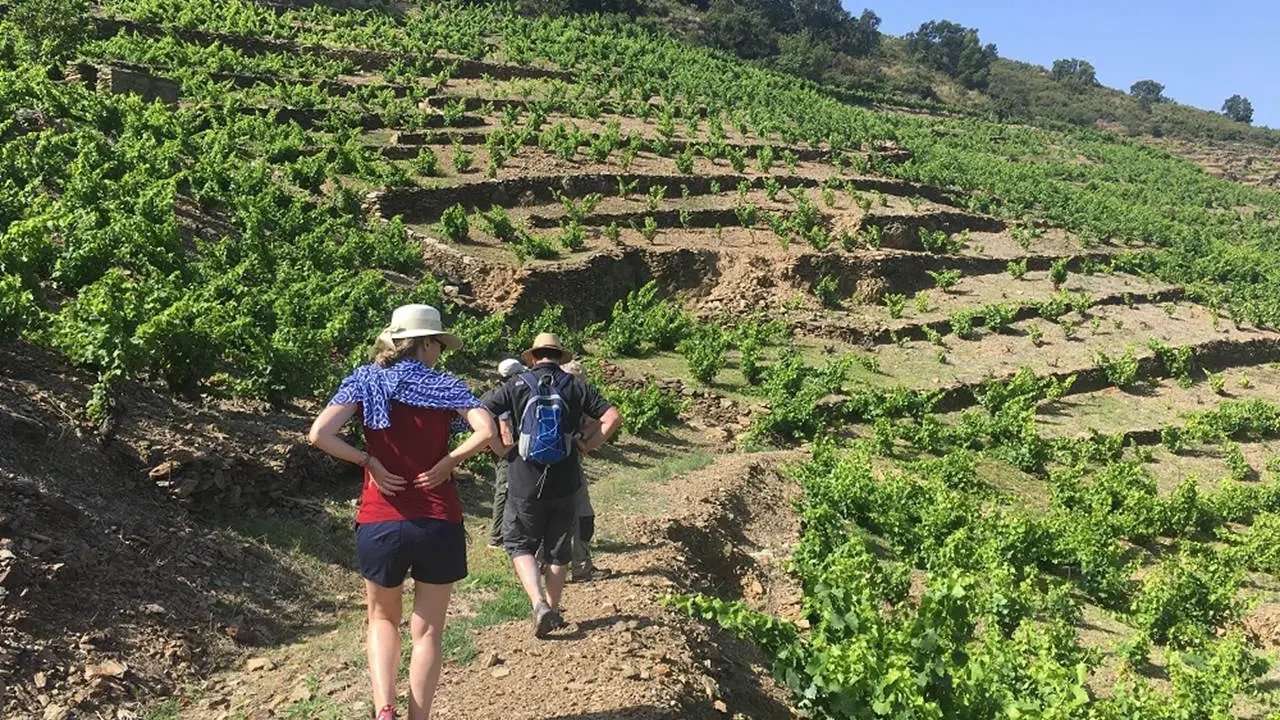 9-prestataires-activites-vinohrando-vue-2