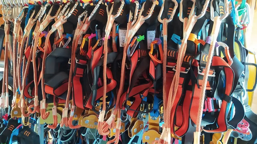 93831993_3093366240715895_3544652521026879488_o