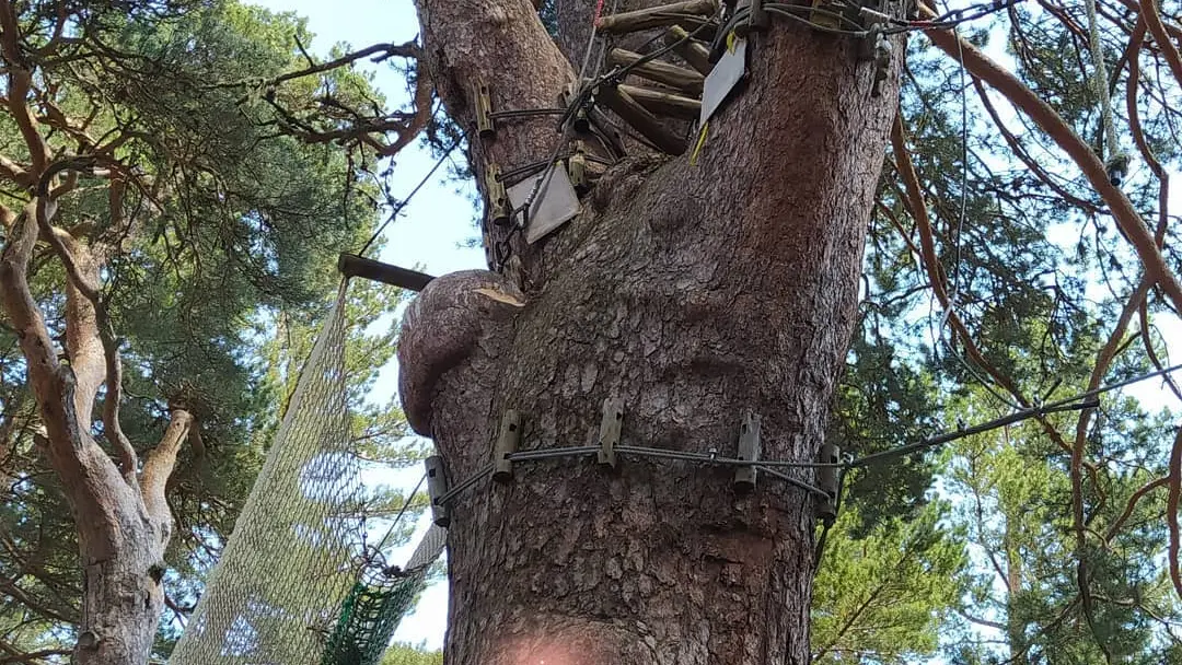 96084651_3128972180488634_6966252700015001600_o