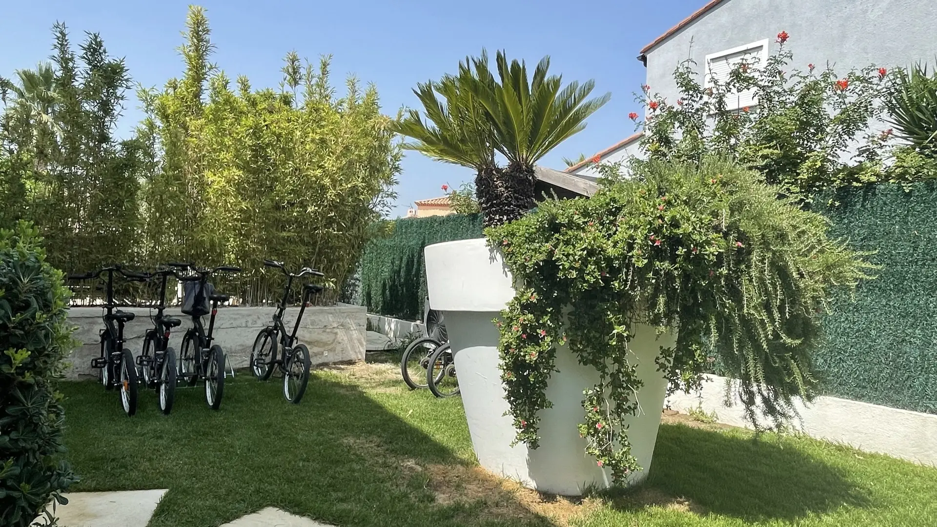 jardin s'arrose toute les nuits